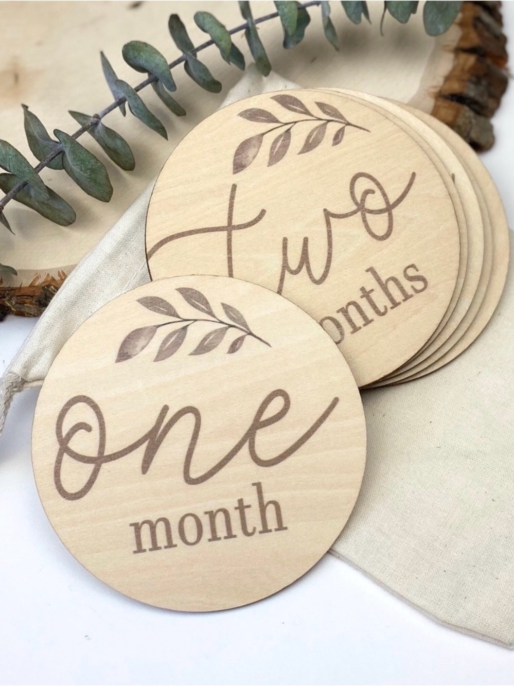 Baby milestone plaques months 1-12